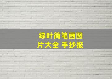 绿叶简笔画图片大全 手抄报